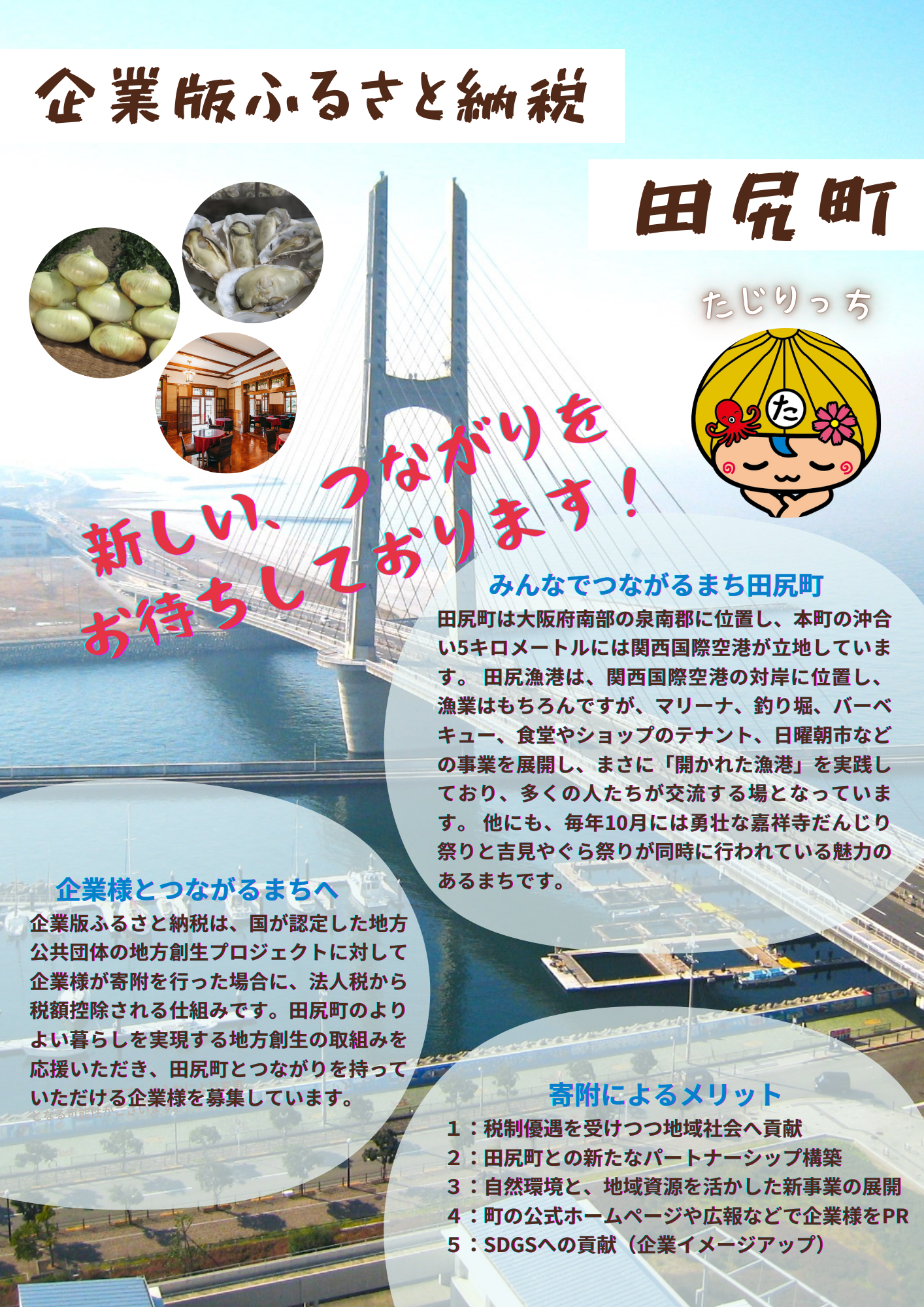 企業版ふるさと納税の案内チラシ