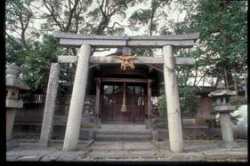 神社の鳥居と本殿を正面から写した写真