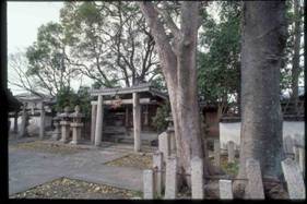 手前には大きな神木が立っており、その奥に2つの鳥居が横に並んでいる嘉祥神社の写真