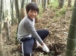 男の子が軍手をしてタケノコ掘りを楽しんでいる写真