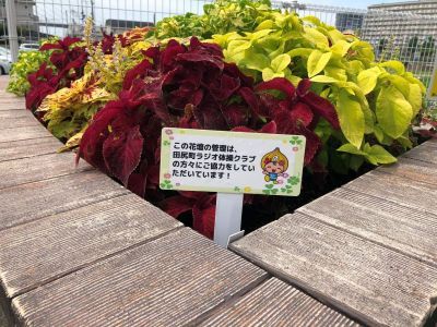 花壇に「この花壇の管理は、田尻町ラジオ体操クラブの方々にご協力いただいています！」と書かれた緑のボランティアプレートが表示されている写真