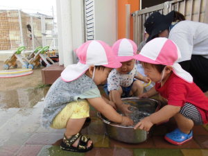 タライの中の水に手を入れて遊んでいる3人の園児の写真