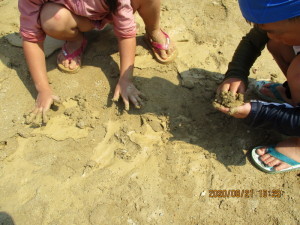 泥団子を作っている園児たちの写真