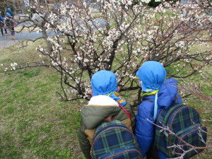 花が咲いた木を眺めている2人の園児の写真