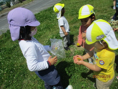 黄色い花を配っている4歳児と花をもらった2歳児の写真