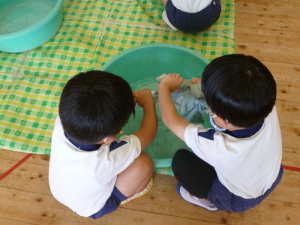 タオルを絞る練習をしている園児たちの写真