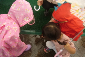 地面に溜まった水たまりを観察している、レインコートを着た園児と傘をさしている園児の写真
