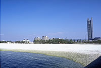 奥に高層ビルが建つ手前の青い海と白い砂浜のマーブルビーチの写真