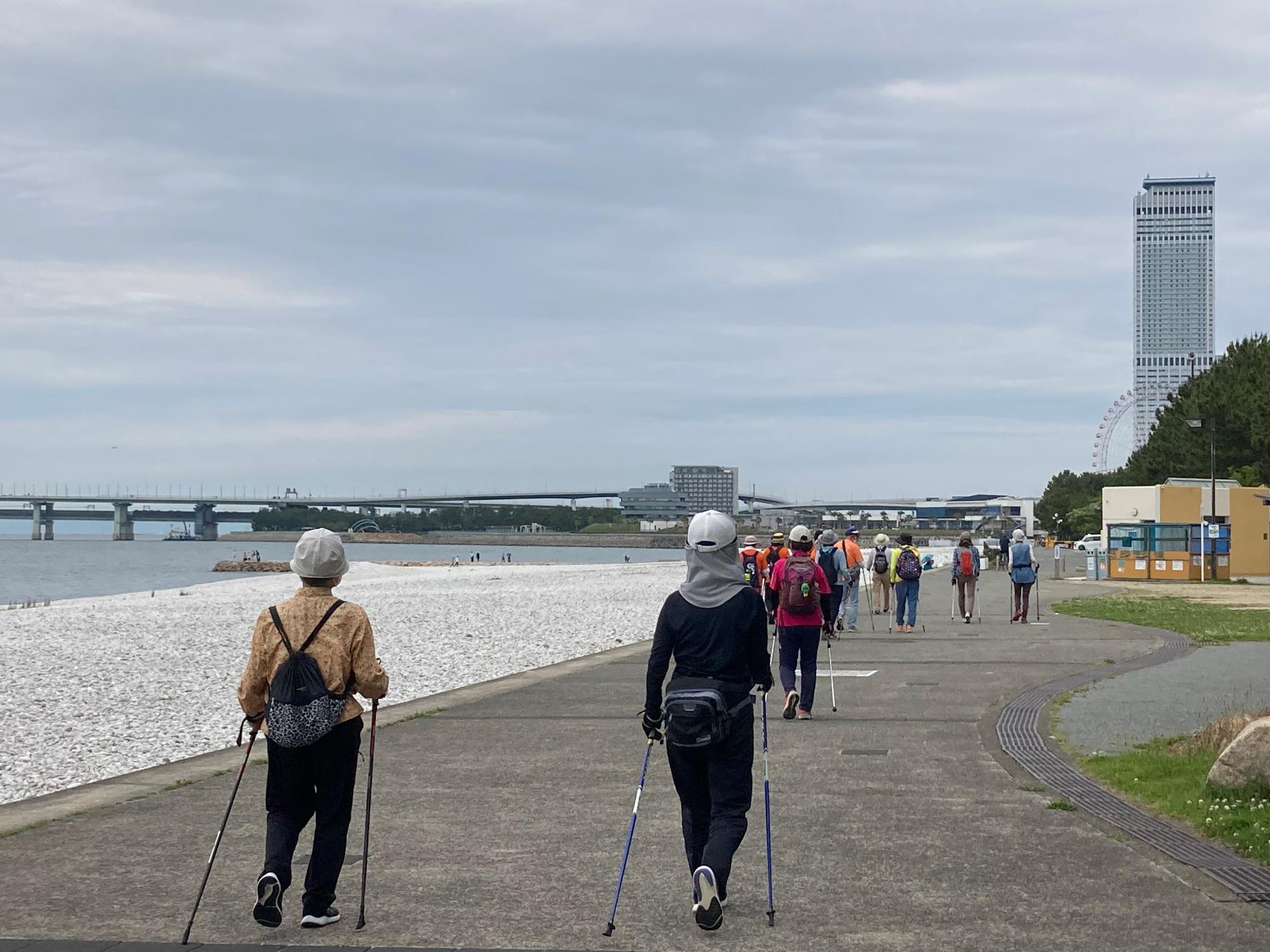 めっちゃポール倶楽部活動の様子